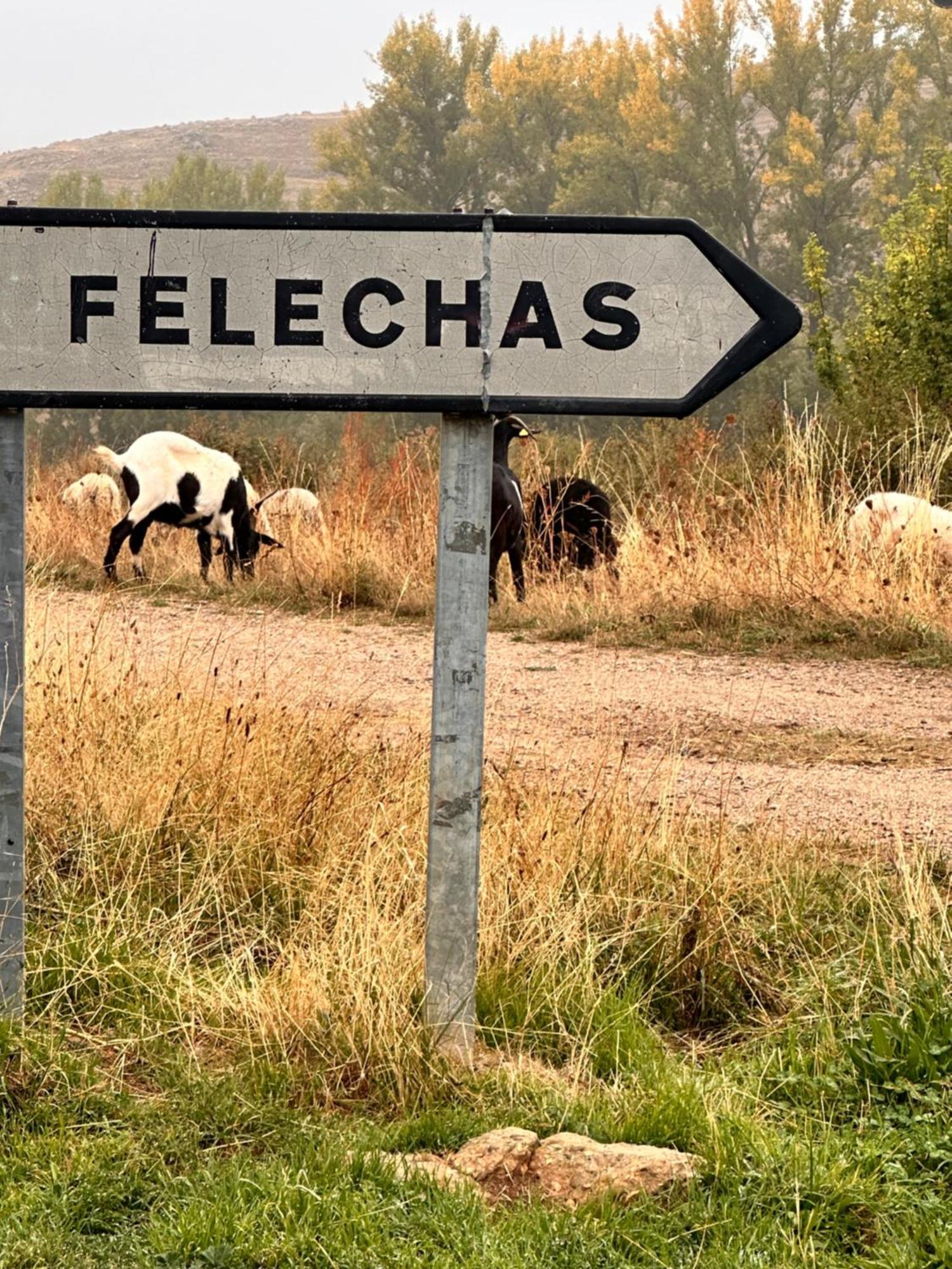 Los Tres Horreos Felechas Экстерьер фото